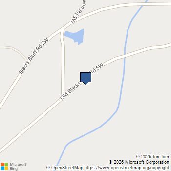 4467 Old Blacks Bluff Road SW Rome, GA MLS# 10830765