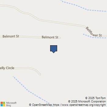 63465 Belmont Street Joshua Tree, CA MLS# JT25081069