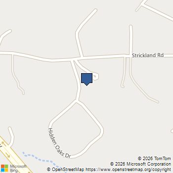 4409 Hidden Oaks Drive Flowery Branch, GA MLS# 10875923