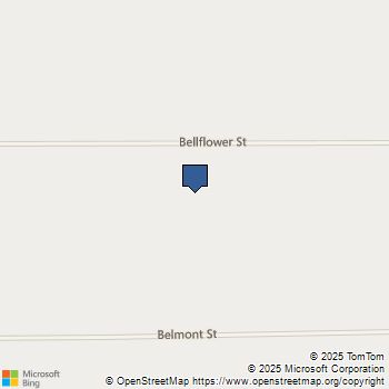 303 Bellflower Road Joshua Tree, CA MLS# SN25201382