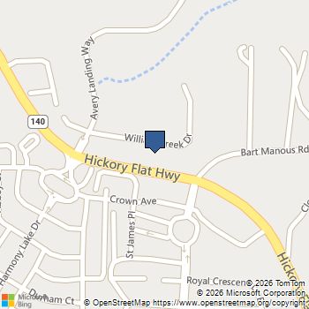 216 William Creek Drive Canton, GA MLS# 10831297