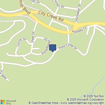 31954 Pine Cone Drive Running Springs, CA MLS# CV25152078