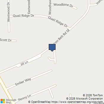 303 Iron Belt Court Cartersville, GA MLS# 7815562