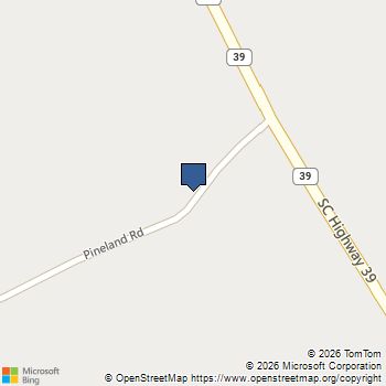 Lot 103 Pineland Road Lot 103 Chappells, SC MLS# 629053