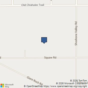 69570 Squaw Road 29 Palms, CA MLS# IV24243949