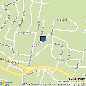 32079 Fern Drive Running Springs, CA MLS# OC25150879