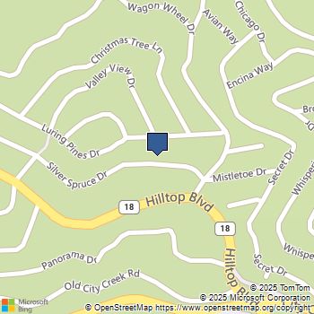 31766 Silver Spruce Drive Running Springs, CA MLS# PW25168851