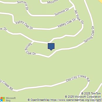 2458 Spring Oak Running Springs, CA MLS# WS25225523