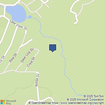 22 Deer Lick Drive Running Springs, CA MLS# OC25178998