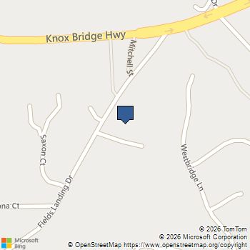 251 Fields Landing Drive Canton, GA MLS# 7771612