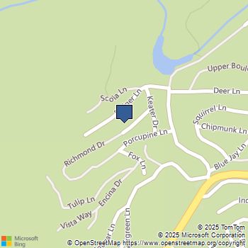 32784 Richmond Drive Running Springs, CA MLS# IG25147566