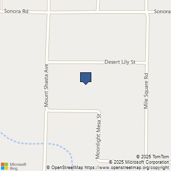 46 Desert Lily Street Joshua Tree, CA MLS# JT25151667