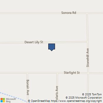 1234 Desert Lily Street Joshua Tree, CA MLS# JT24182915