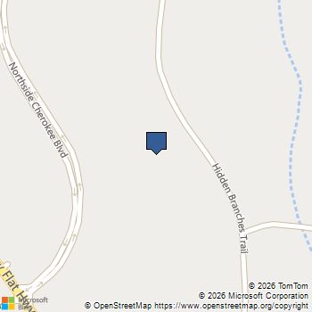 659 Hidden Branches Trail Canton, GA MLS# 7760050