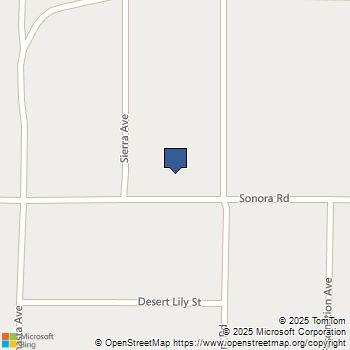 66028 Sonora Road Joshua Tree, CA MLS# JT24129505