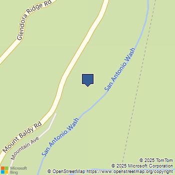 501 S Mountain Avenue Mt Baldy, CA MLS# CV25159345