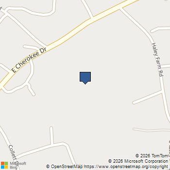 216 Memory Lane Canton, GA MLS# 7755546