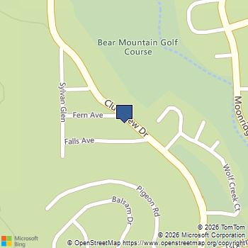 1124 Club View Drive Big Bear Lake, CA MLS# SR25151102