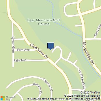 43063 Goldmine Woods Lane Big Bear, CA MLS# 219138160DA