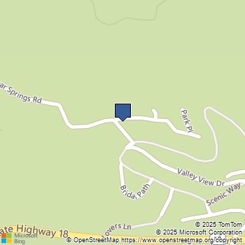 1139 Bear Springs Road Rimforest, CA MLS# IG25216372