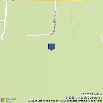 39585 Lakeview Pines Road Big Bear, CA MLS# 225000533