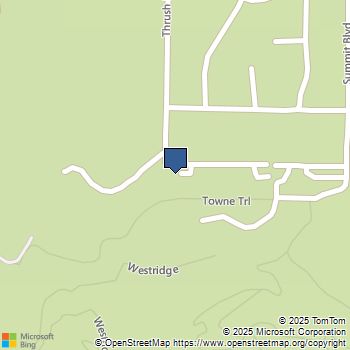 861 Thrush Drive 13 Big Bear, CA MLS# 219134420PS