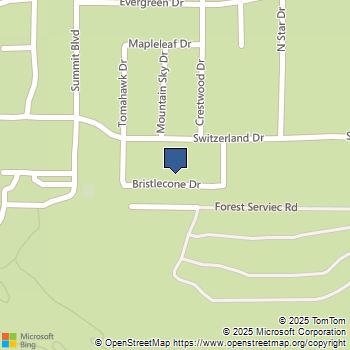 41935 Switzerland 104 Big Bear Lake, CA MLS# SB25243441