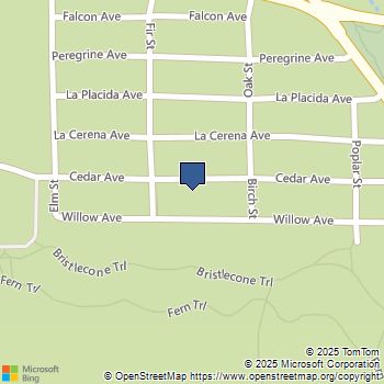 42639 Cedar Avenue Big Bear, CA MLS# 219135269PS