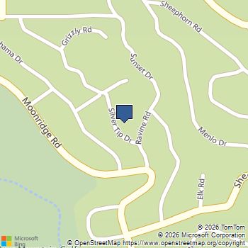 847 Silver Tip Drive Big Bear Lake, CA MLS# PW25152652