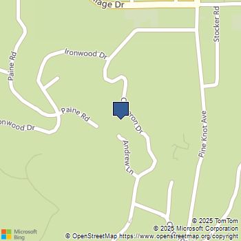 852 Cameron Drive Big Bear, CA MLS# 225004931