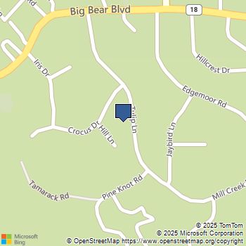 844 Tulip Lane Big Bear Lake, CA MLS# RS24235979