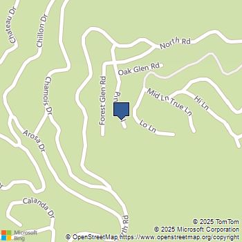 0 Pine Trail Twin Peaks, CA MLS# SW25182435