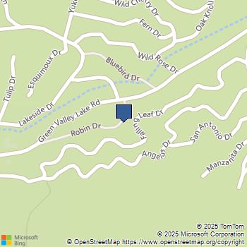 326211020 Angeles Drive Green Valley Lake, CA MLS# 219138875DA