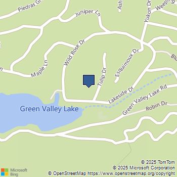 790 Tulip Drive Green Valley Lake, CA MLS# NDP2509056