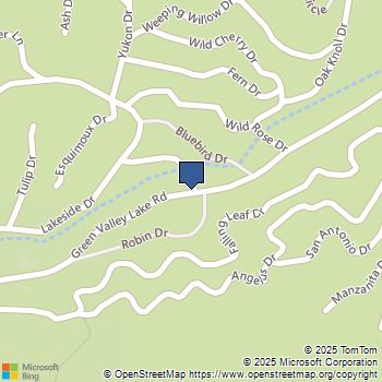 33653 Green Valley Lane Green Valley Lake, CA MLS# IG25095952