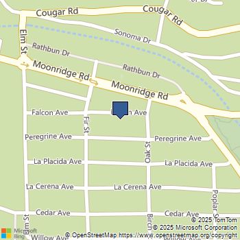 42651 Falcon Avenue Big Bear Lake, CA MLS# HD25244257