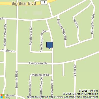 41990 Tamarack Drive Big Bear Lake, CA MLS# OC25167048