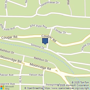 592 Douglas Street Big Bear Lake, CA MLS# IG25246865