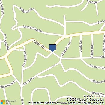 24924 Saxon Dr Crestline, CA MLS# DW25256823