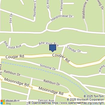 42690 Cougar Road Big Bear Lake, CA MLS# DW25182877