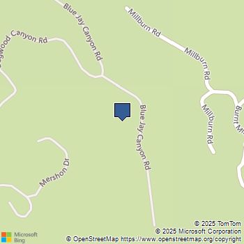 710 Blue Jay Canyon Road Lake Arrowhead, CA MLS# 219130072DA