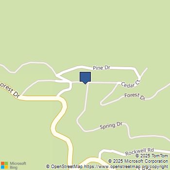 22321 Forest Drive Cedarpines Park, CA MLS# 25549603