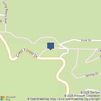 22235 Forest Cedarpines Park, CA MLS# IG25242073