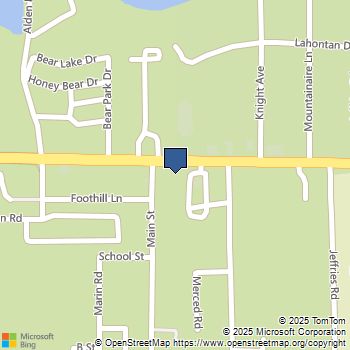 41095 Big Bear Boulevard Big Bear Lake, CA MLS# NP24135468