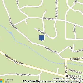 501 Catalina Road Big Bear Lake, CA MLS# GD25216213