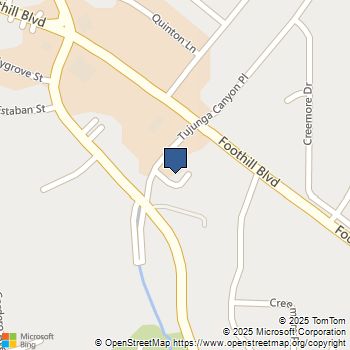 9726 Tujunga Canyon Place Tujunga, CA MLS# 25617069