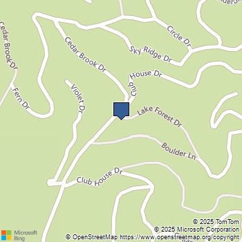 26131 Lake Forest Drive Twin Peaks, CA MLS# GD25170724