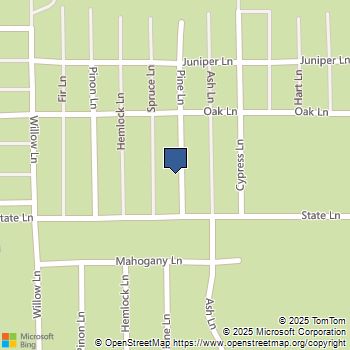 949 Pine Lane Big Bear City, CA MLS# IG25259144