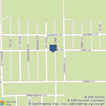 901 Ash Lane Big Bear City, CA MLS# IG25166816