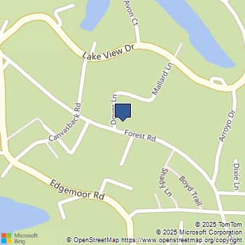 39900 Forest Road Big Bear Lake, CA MLS# SR25105904